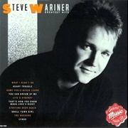 Starting Over Again - Steve Wariner