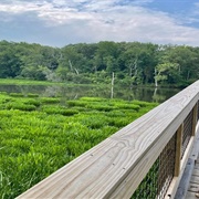 Smallwood State Park, Maryland