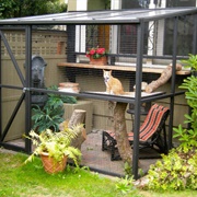 Cat Patio
