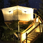 Treehouse Tent