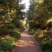 Parkland Walk