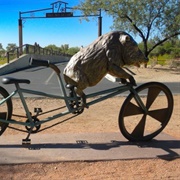 Javier Javelina on a Tandem