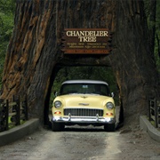 Chandelier Tree
