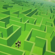 The Maze