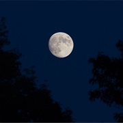 Noctiphobia - Fear of the Night