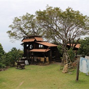 Kona Coffee Living History Farm