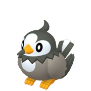 Starly (Female)