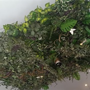 Taverne De La Meuse, Dinant