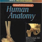 The Lower Extremity (Acland's DVD Atlas of Human Anatomy)