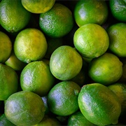 Key Lime in the Florida Keys