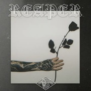 Clarity in Kerosene - Nothing,Nowhere