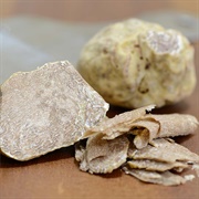 White Truffle (Tuber Magnatum)
