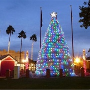 Tumbleweed Christmas Tree