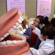 National Museum of Dentistry