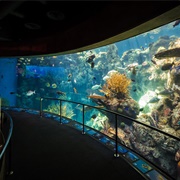 Aquarium of the Pacific, Long Beach