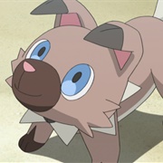 Ash's Rockruff