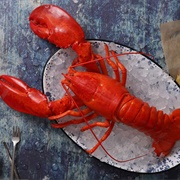 Fresh Lobster in Maine