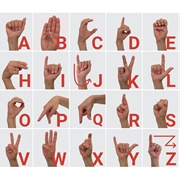 Learnt Sign Language