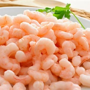 Nordic Shrimps
