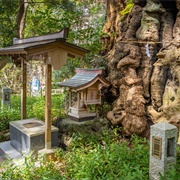 Slope of Atami, Japan