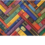 Vintage Library (Galison)