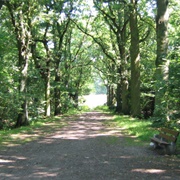 Philips De Jongh Park