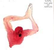 The Ape of Naples (Coil, 2005)