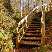 Shoemaker State Nature Preserve