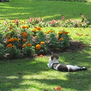 John F. Kennedy Park, Lima