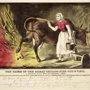 Did a Cow Start the Great Chicago Fire?