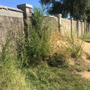 Old Woodruff Athletic Field