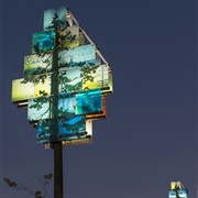 Old Growth (New/Now)