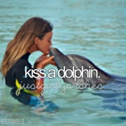 Kiss a Dolphin
