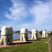 Dunedin Harbor Mouth Molars