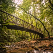 Jones Gap State Park - South Carolina
