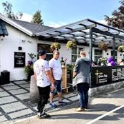 Barney's Wellness, Greve