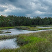 Timucuan Ecological & Historic Preserve