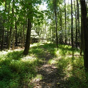 Rancocas State Park, NJ