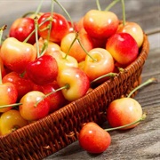 Rainier Cherry on Mount Rainier, Washington