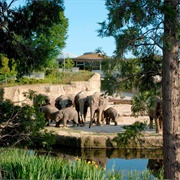 Kölner Zoo
