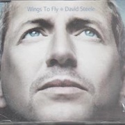 David Steele