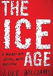 The Ice Age: A Journey Into Crystal-Meth Addiction (Luke Williams)