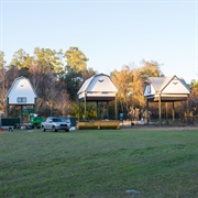 University of Florida Bat Houses