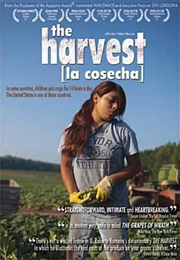 The Harvest (2011)