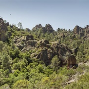 Pinnacles National Park USA