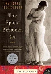 The Space Between Us (Thrity Umrigar)