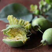 Cocky Apple (Planchonia Careya)