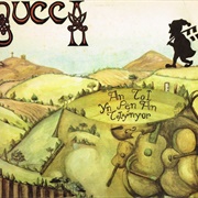 An Tol Yn Pen an Telynyor (The Hole in the Harper's Head) Bucca