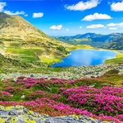Retezat National Park, Romania