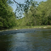 Caesar Creek Gorge State Nature Preserve